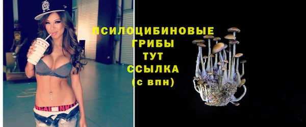 ПСИЛОЦИБИНОВЫЕ ГРИБЫ Киреевск