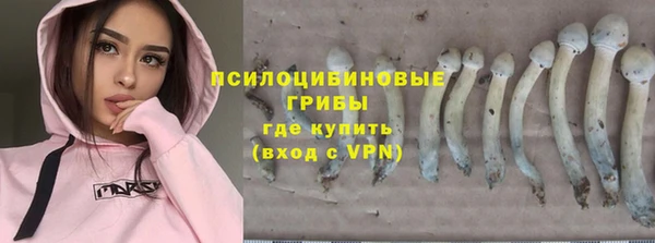 эйфоретик Кинешма