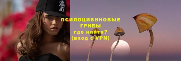 не бодяженный Киренск