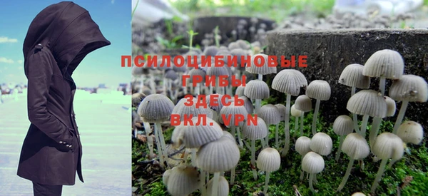 эйфоретик Кинешма