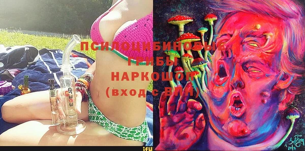 ПСИЛОЦИБИНОВЫЕ ГРИБЫ Киреевск